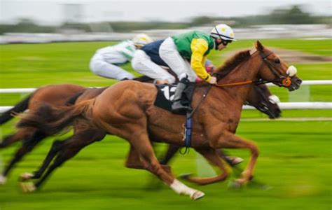sedgefield betting|Sedgefield Betting Tips, Racecards, Odds, & Results .